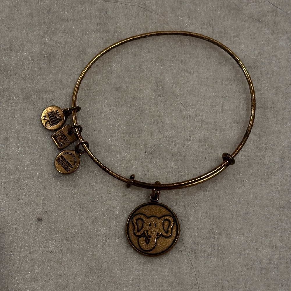 Alex and ani bangle bracelet